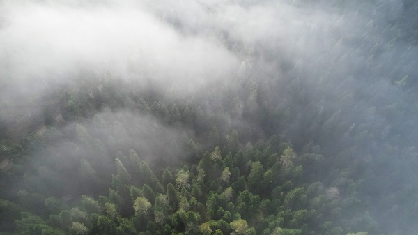Foto - Kastamonu'da görsel şölen