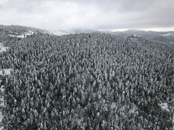 Foto - Kastamonu'da kar manzarası dronla görüntülendi