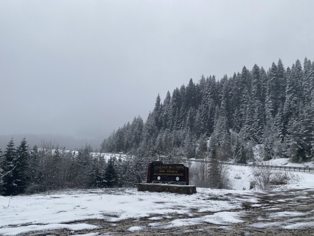 Foto - Kastamonu'da kar yağışı! Ilgaz Dağı beyaza büründü!