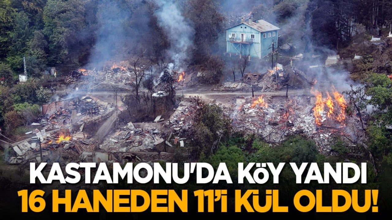 Kastamonu'da köy yandı: 16 haneden 11’i kül oldu