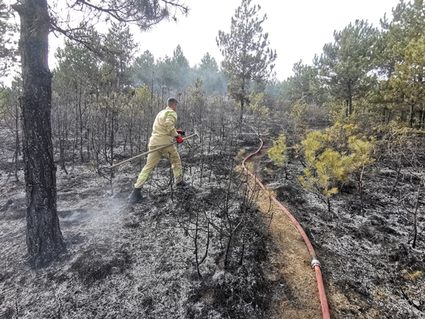 Foto - Kastamonu'da ormanlık alanda yangın