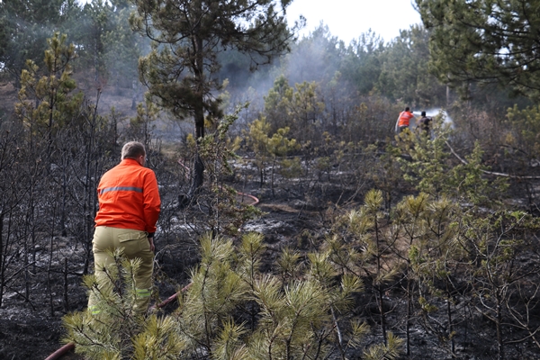 Kastamonu'da ormanlık alanda yangın