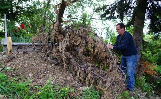 Foto - Kastamonu'da ortaya çıktı! Cesetleri yiyor