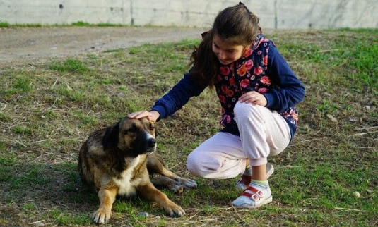 Foto - Kastamonu'da ortaya çıktı! Cesetleri yiyor
