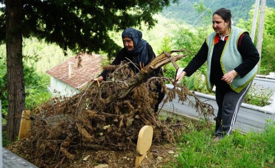 Foto - Kastamonu'da ortaya çıktı! Cesetleri yiyor