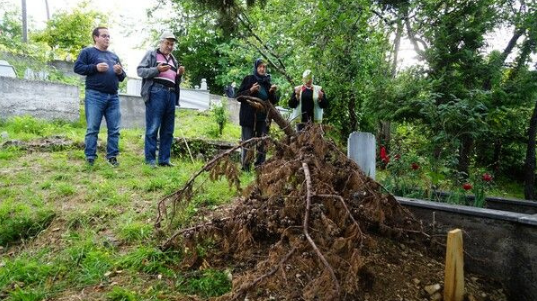 Foto - Kastamonu'da ortaya çıktı! Cesetleri yiyor
