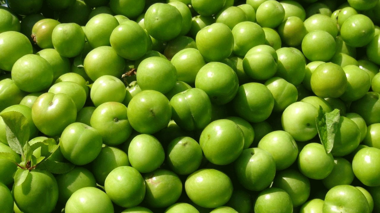 Foto - Katar ve BAE'lilerin vazgeçilmesi oldu: Kilosu tam 2 bin 250 lira!!!