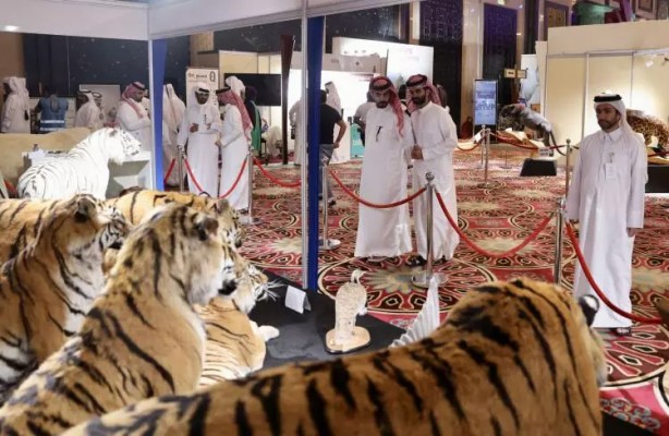 Foto - Katar'ın yeni adresi fuarcılık sektörü: S'hail düzenledi! Katar'dan başka bir ülkede çıkmamıştı! İşte o anlar