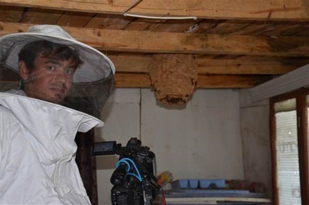 Foto - Katil arılardan Türkiye'de bir ilk!