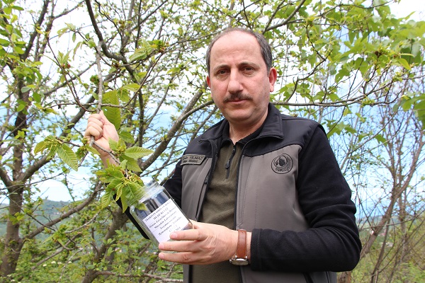 Foto - Katil arıya karşı çözüm böyle bulundu