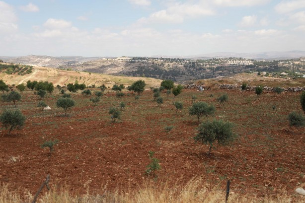 Foto - Katil İsrail, işgalin boyutunu değiştirdi! Batı Şeria’da hırsızlığın yeni yüzü