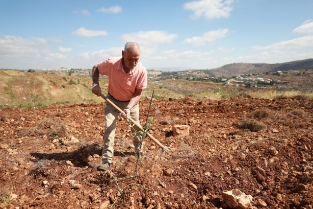 Foto - Katil İsrail, işgalin boyutunu değiştirdi! Batı Şeria’da hırsızlığın yeni yüzü