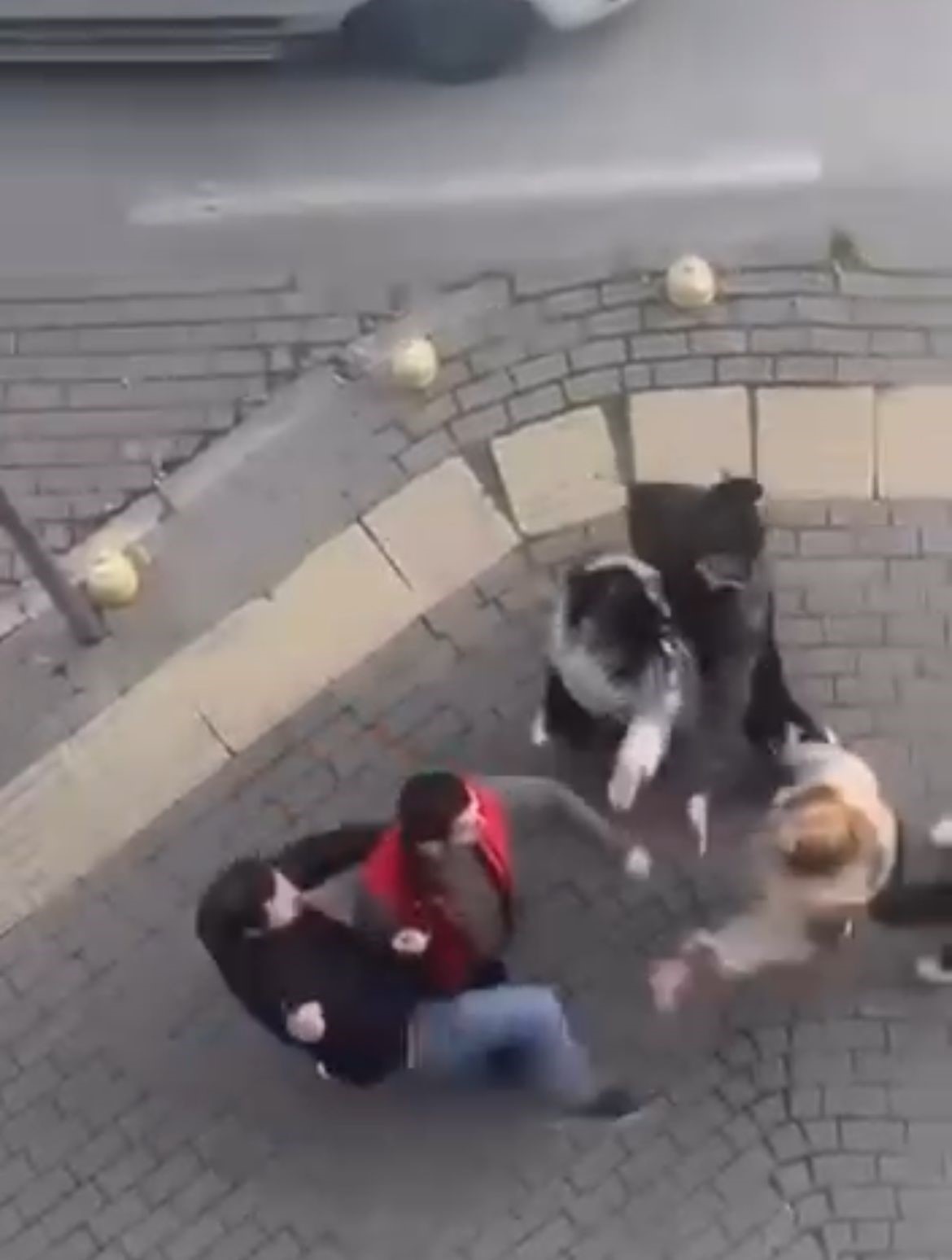 Foto - Kavga eden kadınları mahalleli zor ayırdı