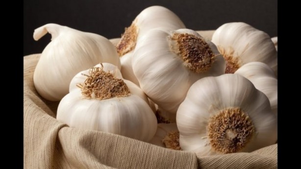 Foto - Kavrulmuş sarımsak yemeniz için öyle çok sebep var ki!
