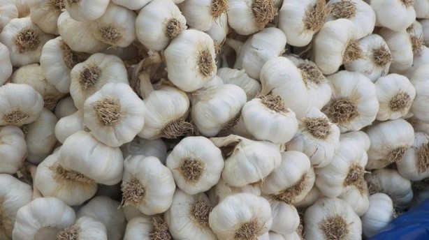 Foto - Kavrulmuş sarımsak yemeniz için öyle çok sebep var ki!