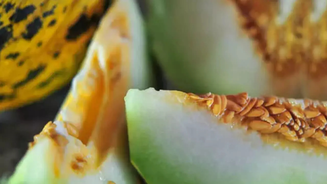 Foto - Kavun çekirdeği deyip geçmeyin! Bu haberi okuduktan sonra bir daha çöpe atamayacaksınız