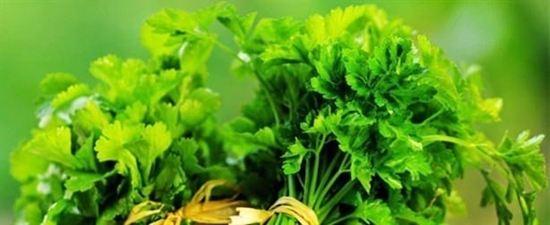 Foto - Kavun çekirdeğini ezip yerseniz...