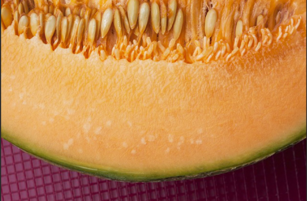 Foto - Kavun çekirdekleri Türkiye'yi zengin edebilir! Türk bilim insanı bomba çalışmasının sonucunu duyurdu, artık sakın çöpe atmayın