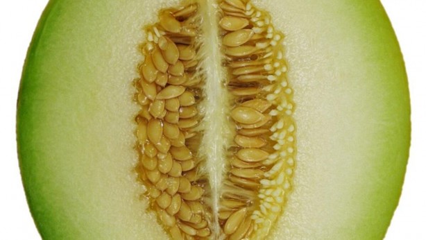 Foto - Kavun çekirdekleri Türkiye'yi zengin edebilir! Türk bilim insanı bomba çalışmasının sonucunu duyurdu, artık sakın çöpe atmayın