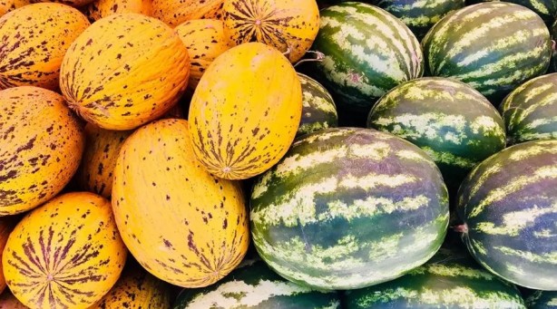Foto - Kavun mu Karpuz mu daha faydalı? Uzmanlar gerçeği açıkladı