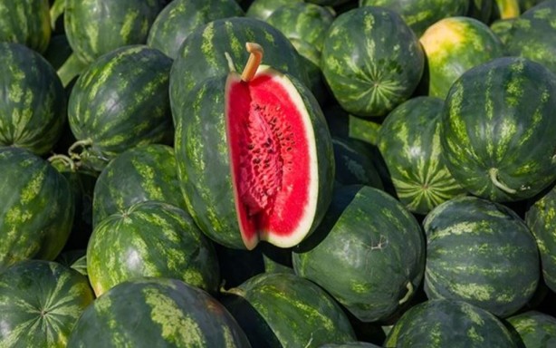 Foto - Kavun mu Karpuz mu daha faydalı? Uzmanlar gerçeği açıkladı