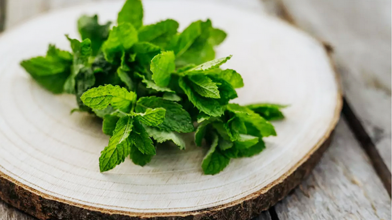 Foto - Kavunu peynir ile değil nane ile tüketin! İşte nedeni: Bağırsakları çalıştırıyor, kabızlığa veda edin