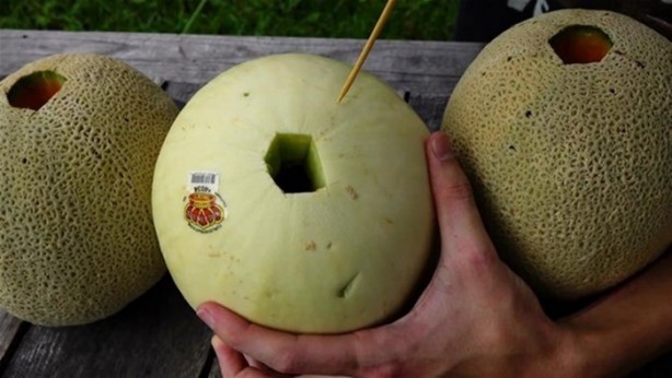 Foto - Kavunun içine eritilmiş kurşun dökülürse ne olur?