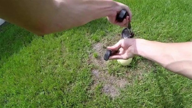 Foto - Kavunun içine eritilmiş kurşun dökülürse ne olur?