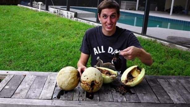 Foto - Kavunun içine eritilmiş kurşun dökülürse ne olur?