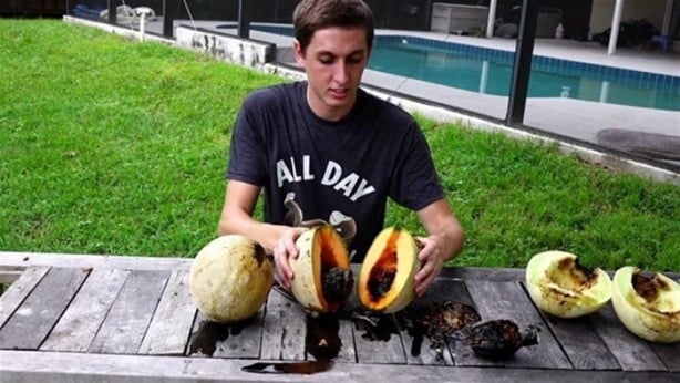 Foto - Kavunun içine eritilmiş kurşun dökülürse ne olur?