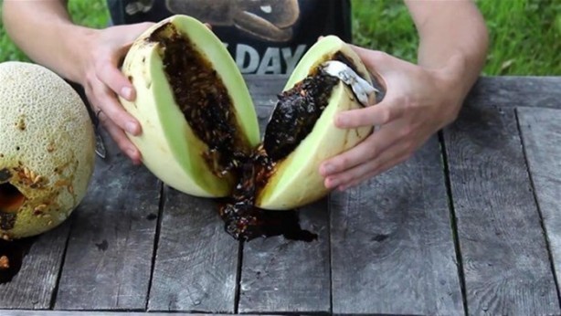 Foto - Kavunun içine eritilmiş kurşun dökülürse ne olur?