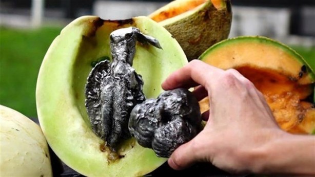 Foto - Kavunun içine eritilmiş kurşun dökülürse ne olur?