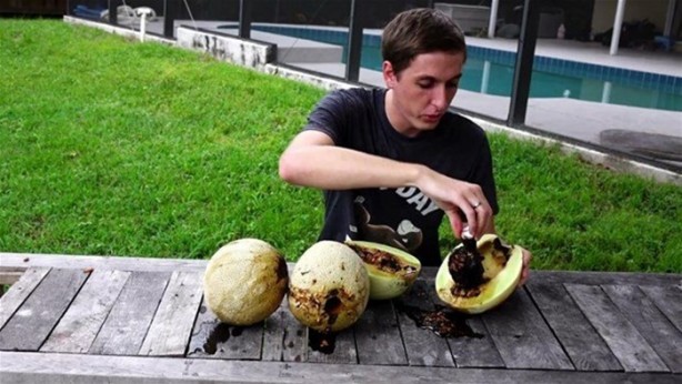 Foto - Kavunun içine eritilmiş kurşun dökülürse ne olur?