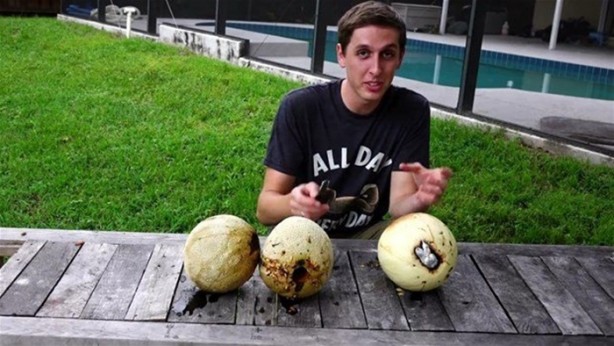 Foto - Kavunun içine eritilmiş kurşun dökülürse ne olur?