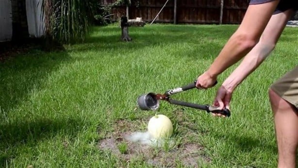 Foto - Kavunun içine eritilmiş kurşun dökülürse ne olur?