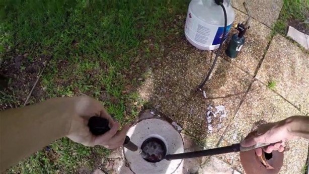 Foto - Kavunun içine eritilmiş kurşun dökülürse ne olur?