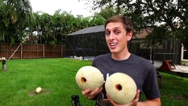 Foto - Kavunun içine eritilmiş kurşun dökülürse ne olur?