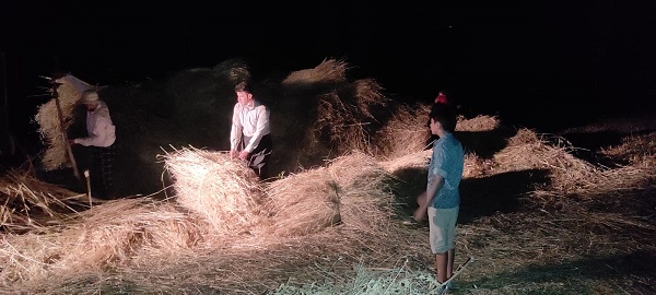 Kavurucu sıcaklara ilginç çözüm! 