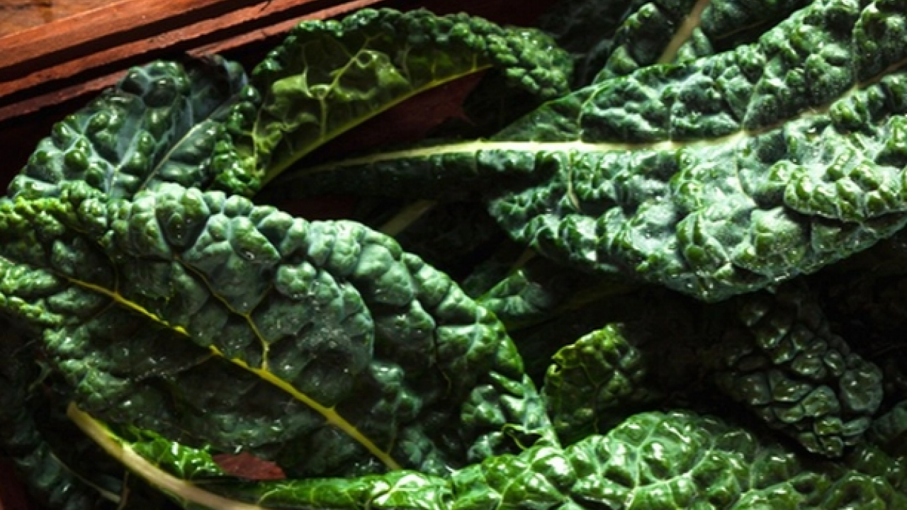 Foto - Kaya gibi kemiklerin sırrı bu gıdada: Sofralarınıza hala koymadınız mı gerçekten?!?