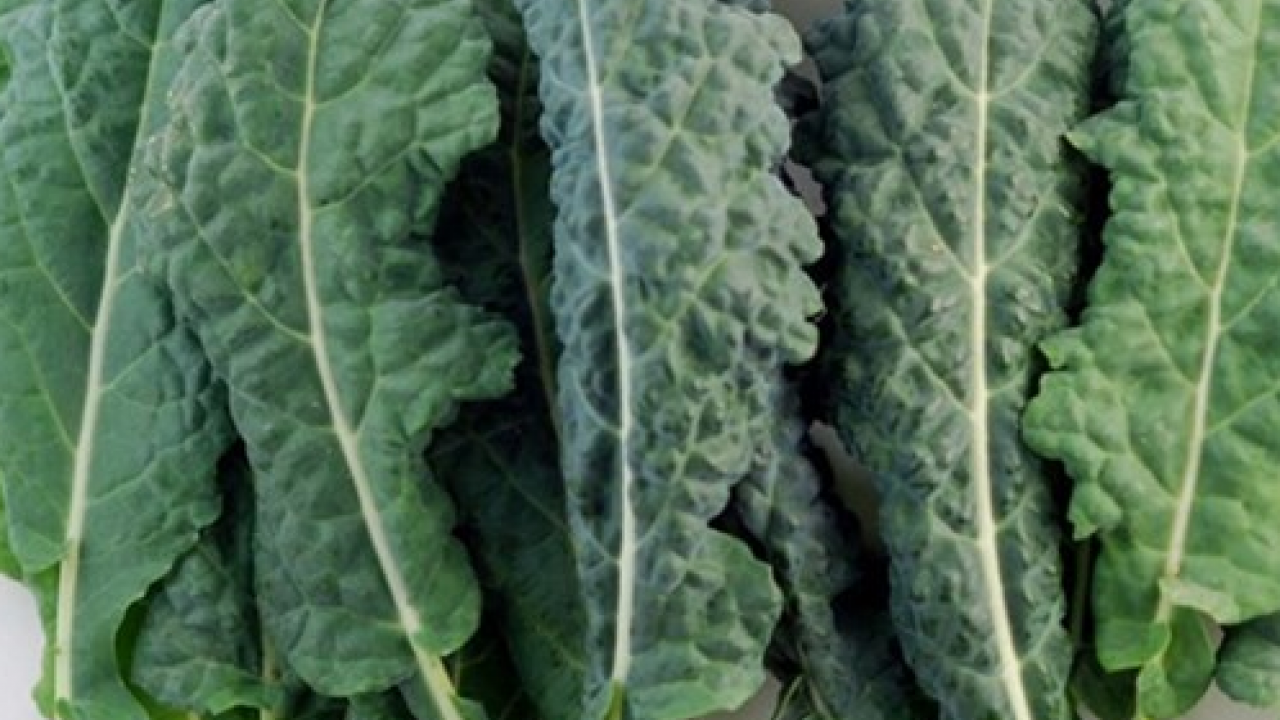 Foto - Kaya gibi kemiklerin sırrı bu gıdada: Sofralarınıza hala koymadınız mı gerçekten?!?