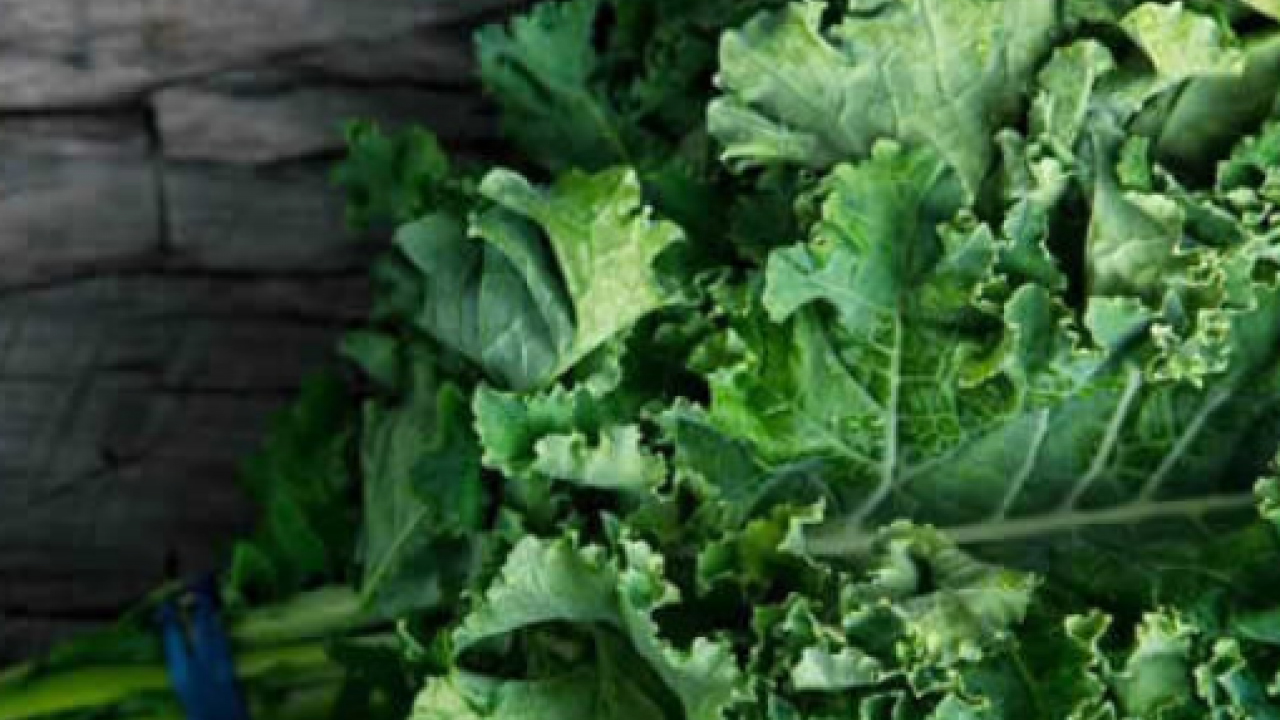 Foto - Kaya gibi kemiklerin sırrı bu gıdada: Sofralarınıza hala koymadınız mı gerçekten?!?