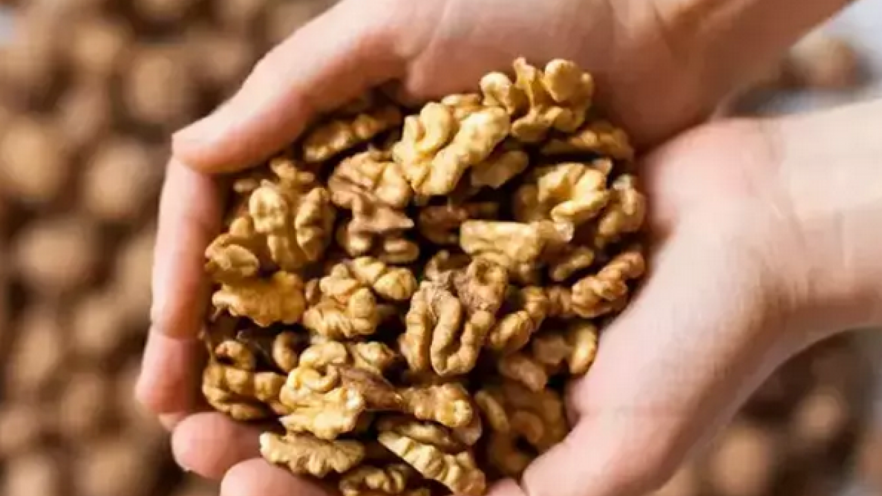 Foto - Kaya gibi kuvvetli kalbin yolu 3 besinden geçiyor! Herkesin sofrasında mutlaka olmalı kolesterolü dengeler