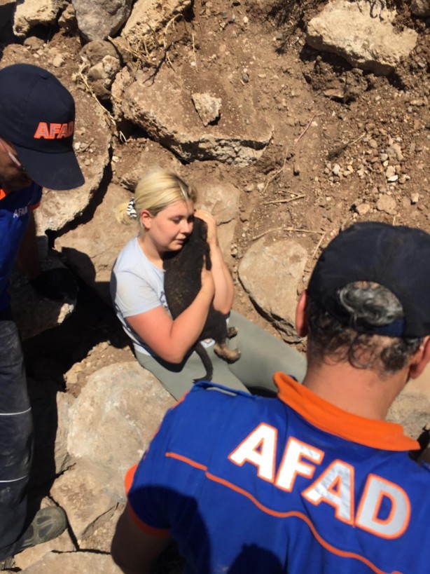 Foto - Kayalar arasında sıkışan yavru köpekler kurtarıldı