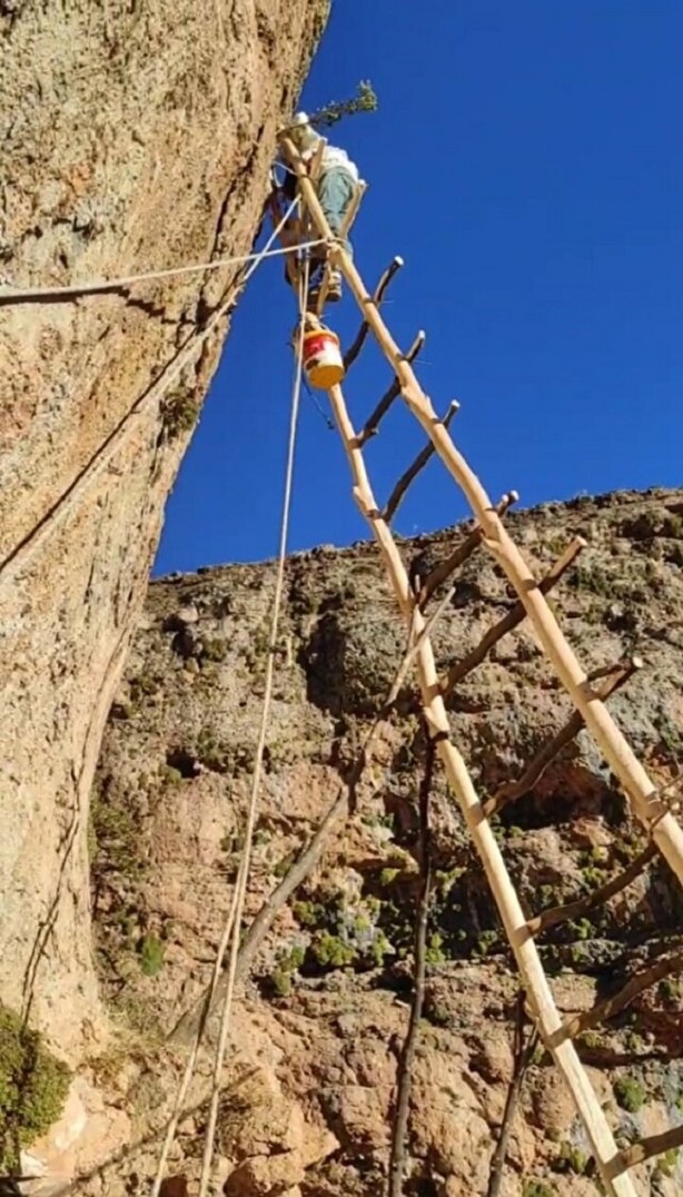 Foto - Kayaların arasında gizli! 11 metrelik merdivenle ulaştılar