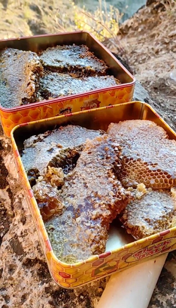 Foto - Kayaların arasında gizli! 11 metrelik merdivenle ulaştılar