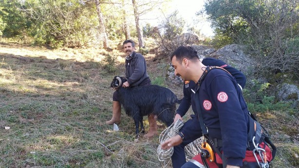 Foto - Kayalıklarda mahsur kalan keçi kurtarıldı