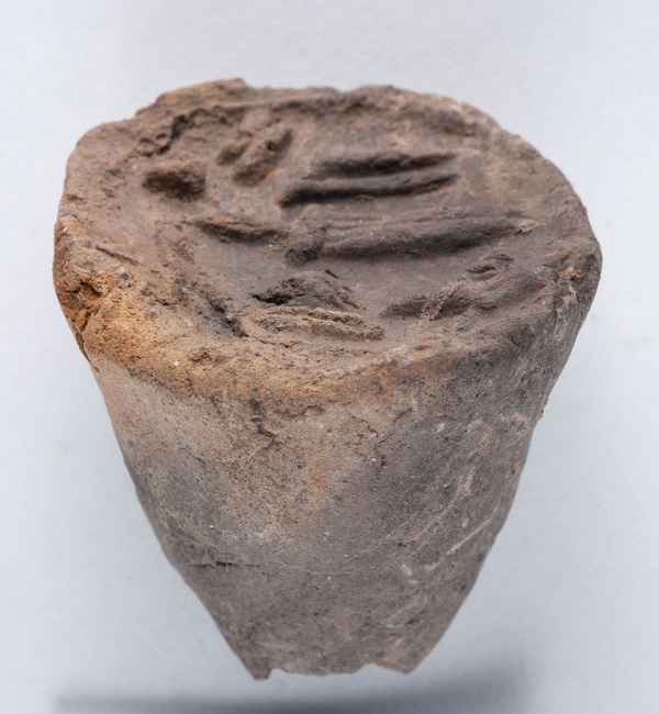 Foto - Kayalıpınar'da bulunan mühürler tarihe ışık tutacak! Hitit şehrinde büyük keşif