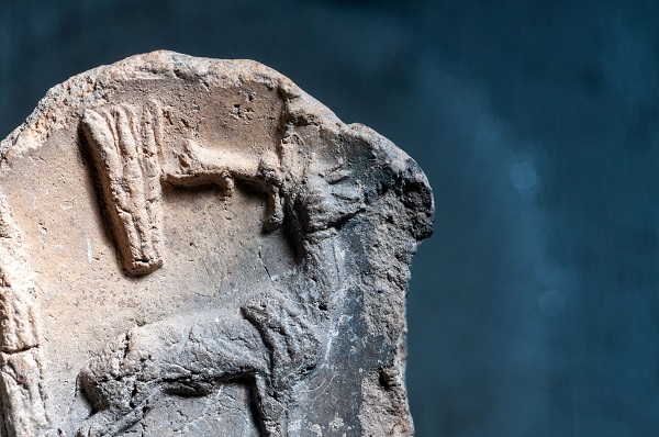 Foto - Kayalıpınar'da bulunan mühürler tarihe ışık tutacak! Hitit şehrinde büyük keşif