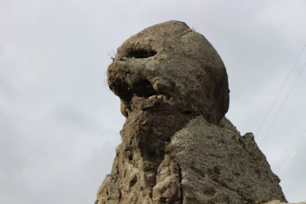 Foto - Kayanın şeklini gören telefonuna sarılıyor