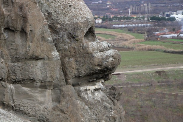 Foto - Kayanın şeklini gören telefonuna sarılıyor